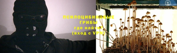 эйфоретик Тайга