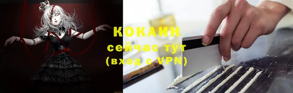 эйфоретик Тайга
