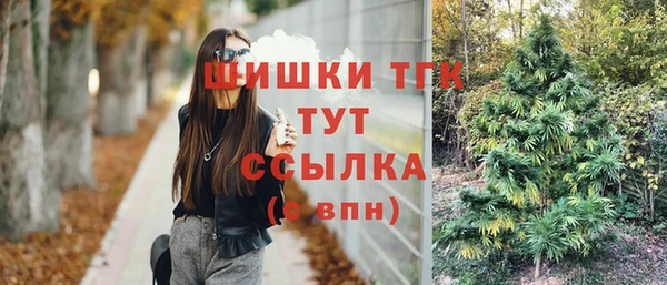 эйфоретик Тайга