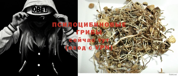 mdpv Сясьстрой