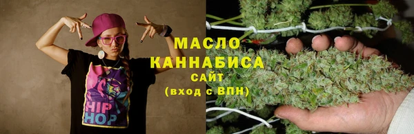 метадон Гусев