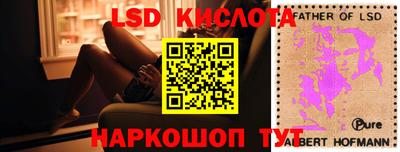 мдпв Гатчина