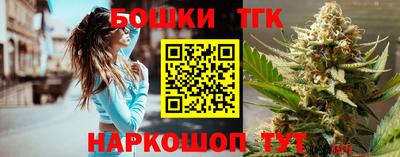 мдпв Гатчина