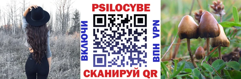 купить наркоту  Комсомольск-на-Амуре  Псилоцибиновые грибы прущие грибы 