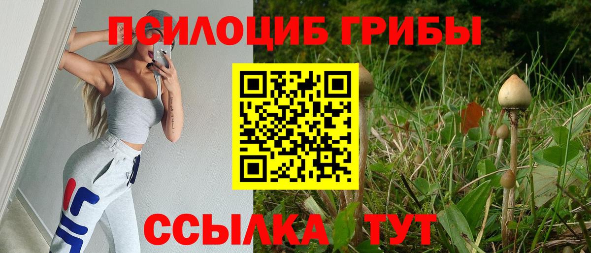 Псилоцибиновые грибы Psilocybine cubensis Комсомольск-на-Амуре