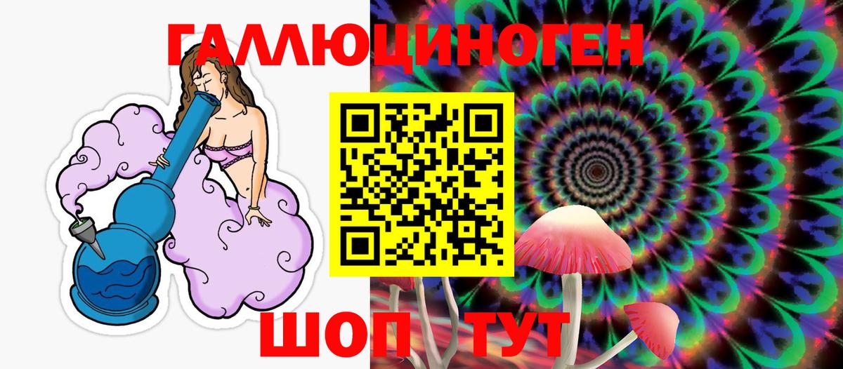 купить  цена  Галлюциногенные грибы Cubensis  Вход с VPN  Галлюциногенные грибы прущие грибы  Комсомольск-на-Амуре 